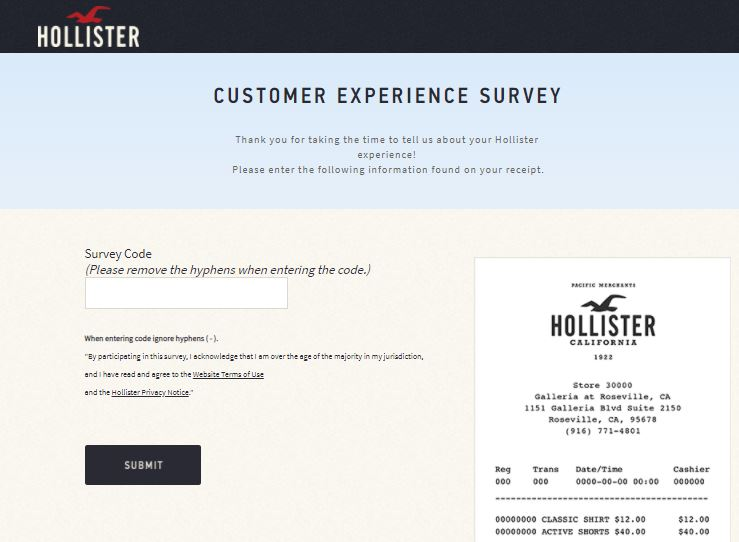 Hollister Survey