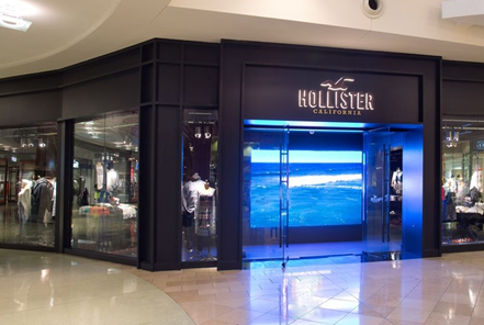 Hollister Survey