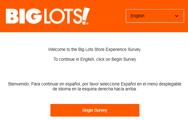 www.BigLotsSurvey.Com