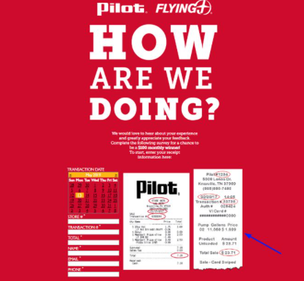 Pilot Flying J Survey