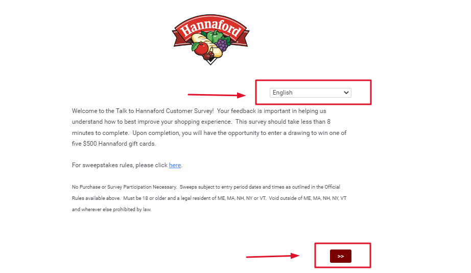 Hannaford Customer Survey