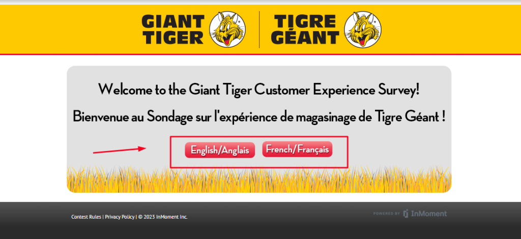 Giant Tiger Customer Experience Survey